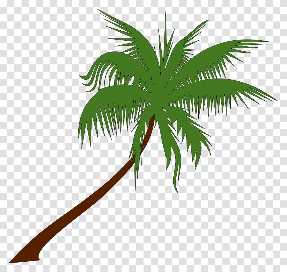 Summer On You Sam Feldt X Lucas, Palm Tree, Plant, Arecaceae, Leaf Transparent Png