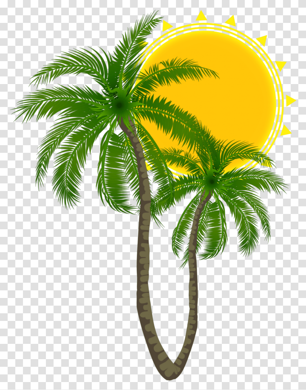 Summer Palmtrees Sun Hellosummer Logo Logos Palmier Pal Attalea Speciosa, Palm Tree, Plant, Arecaceae, Green Transparent Png