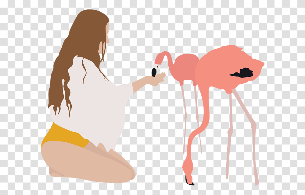 Summer, Person, Human, Animal, Flamingo Transparent Png