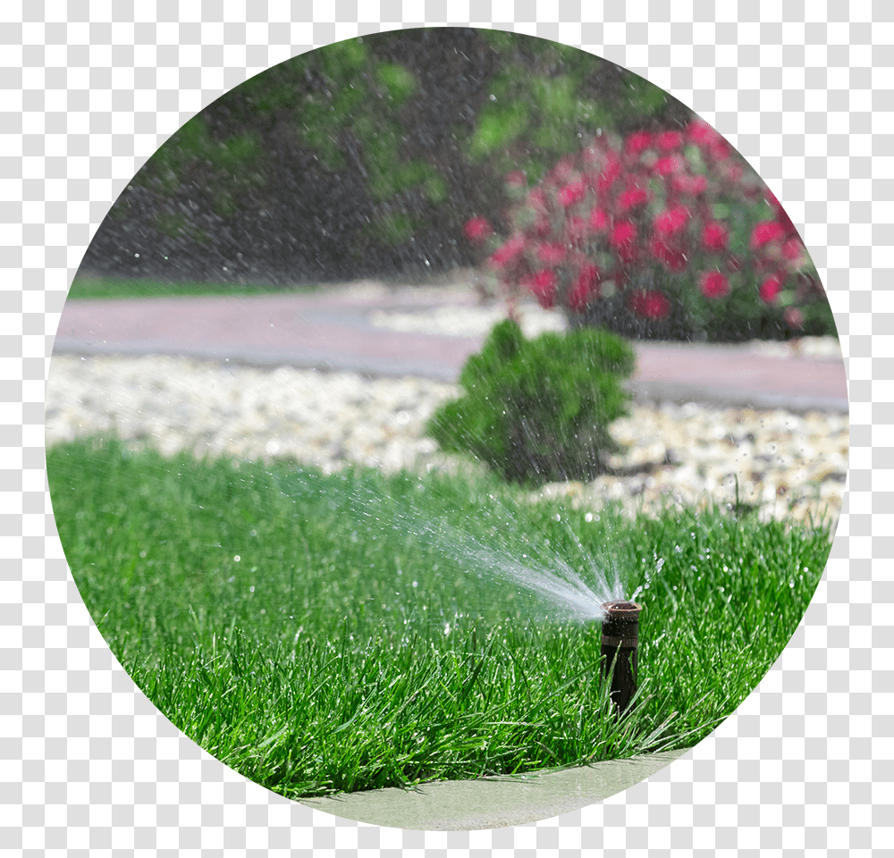 Summer Water Saving Tips Bewsserung Garten, Machine, Sprinkler, Plant, Grass Transparent Png