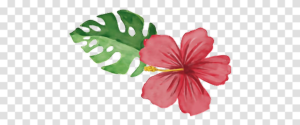 Summertime Summerfun Tropical Flower Flamingo Tropical Watercolor, Plant, Geranium, Blossom, Hibiscus Transparent Png