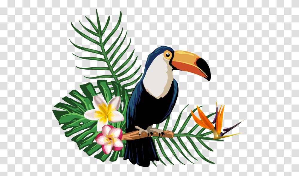 Summertime Tropical Summer Birdseffect Summerfun Tropical Summer Clipart, Animal, Beak, Toucan, Plant Transparent Png