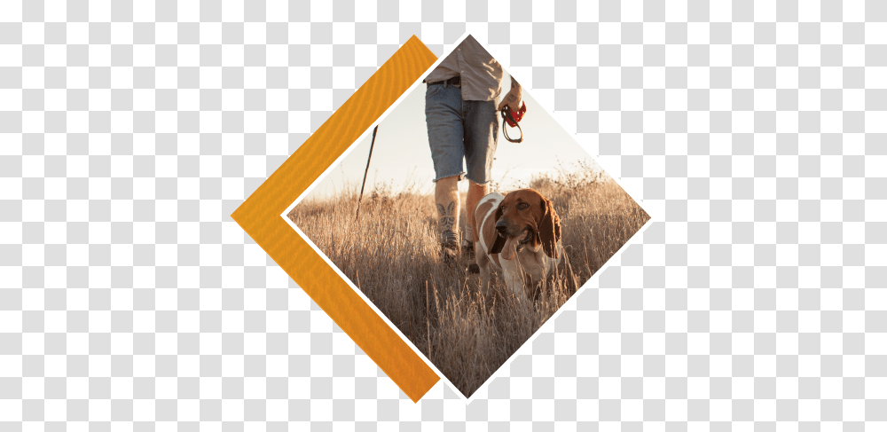 Summit Health Leash, Person, Human, Dog, Pet Transparent Png