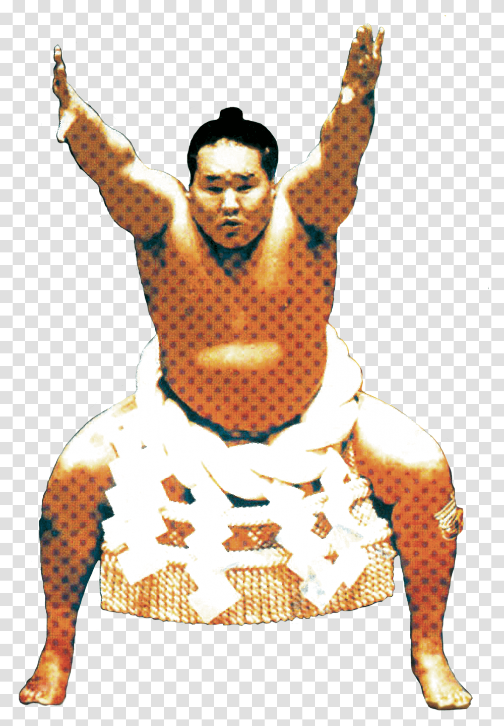 Sumo 600dpi Kung Fu, Advertisement, Poster, Person, Human Transparent Png