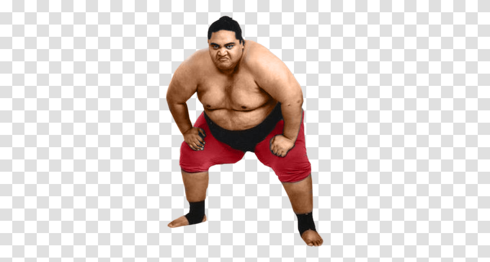 Sumo, Sport, Person, Human, Sports Transparent Png