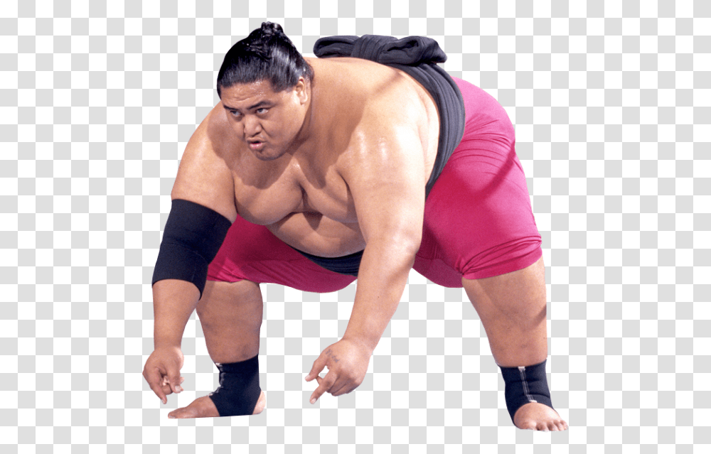 Sumo, Sport, Person, Human, Sports Transparent Png