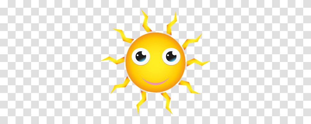 Sun Emotion, Toy, Animal, Outdoors Transparent Png