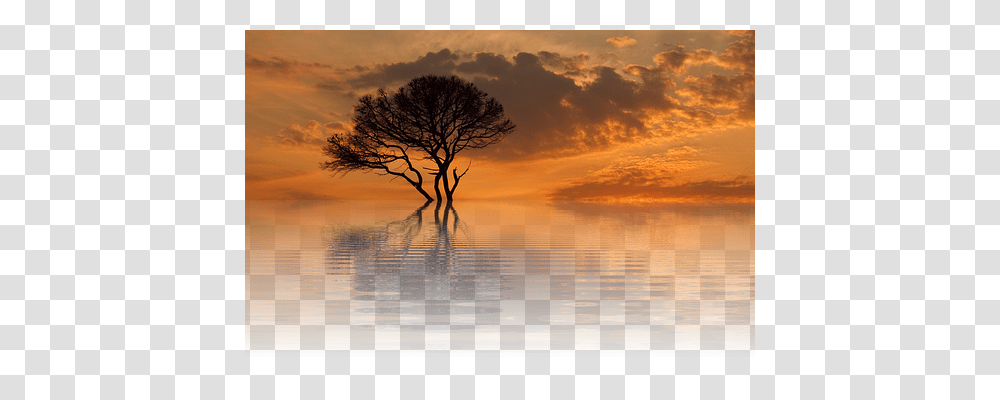 Sun Nature, Outdoors, Tree, Plant Transparent Png