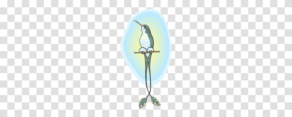 Sun Animals, Bird, Lamp, Parakeet Transparent Png
