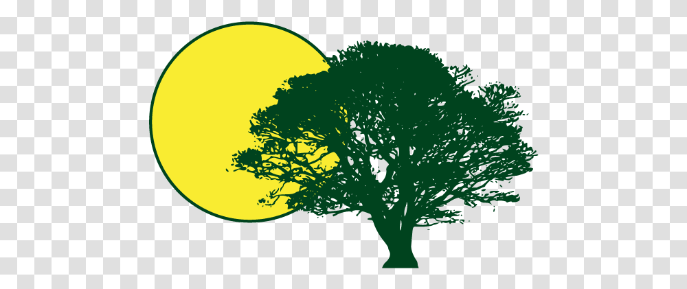 Sun And Shade Gadmin Tree Silhouette, Plant, Bush, Vegetation, Graphics Transparent Png