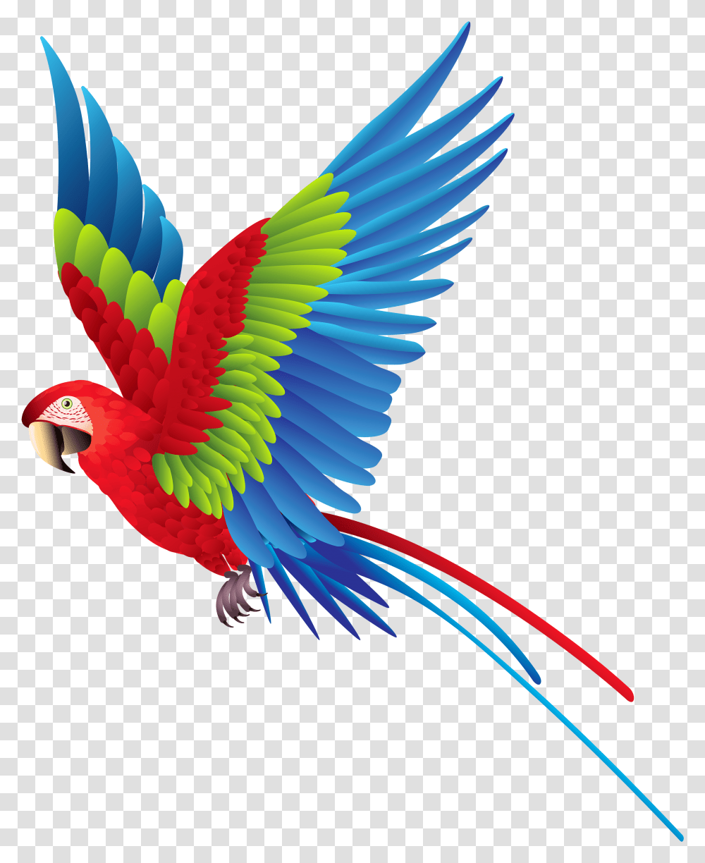 Sun Banner Free Download Files Colorful Flying Birds, Animal, Parrot, Macaw Transparent Png