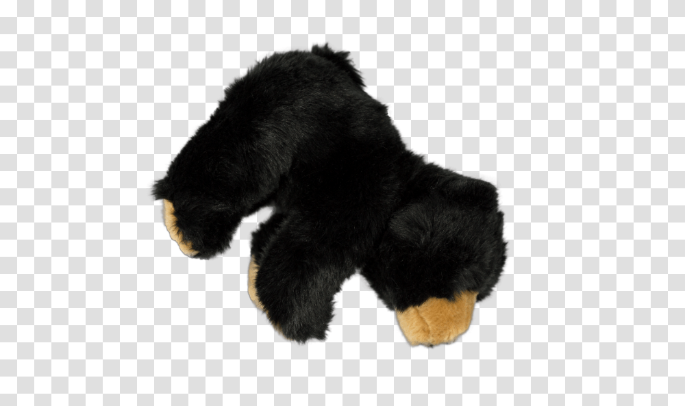 Sun Bear Clipart Small Bear, Mammal, Animal, Dog, Pet Transparent Png