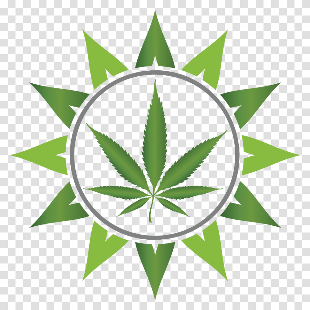 Sun Clip Art, Plant, Compass, Star Symbol Transparent Png