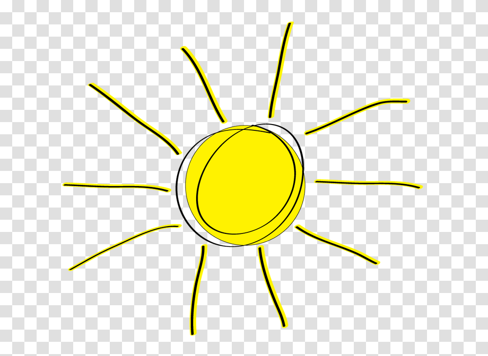 Sun Clipart Free Clip Art Images Fennville District Library, Nature, Outdoors, Insect, Invertebrate Transparent Png