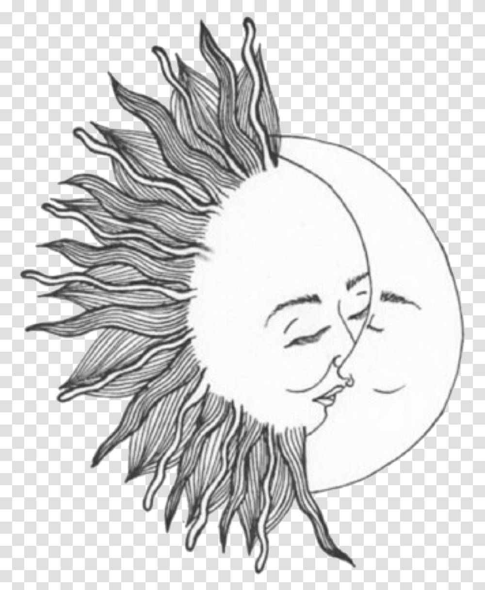 Sun Doodle Sun And Moon, Drawing, Bird, Animal Transparent Png
