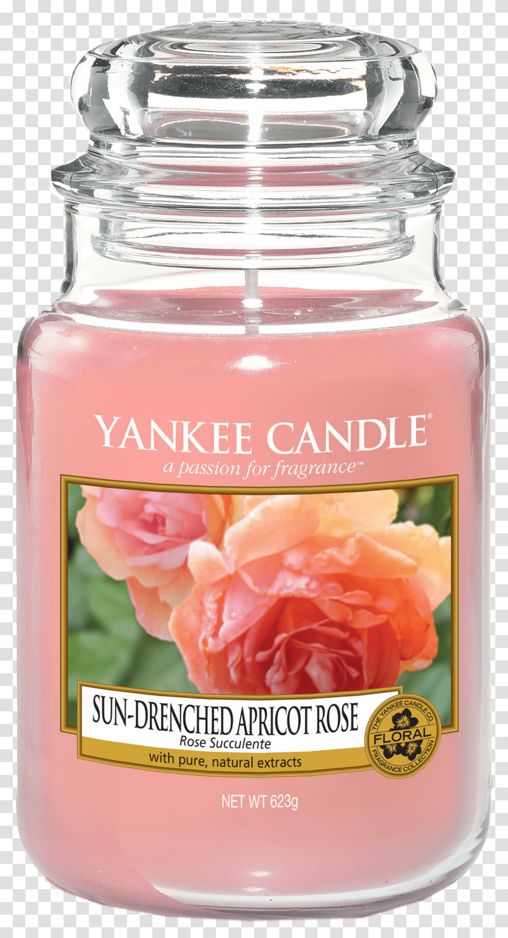 Sun Drenched Apricot Rose Yankee Candle, Plant, Cosmetics, Grapefruit, Citrus Fruit Transparent Png