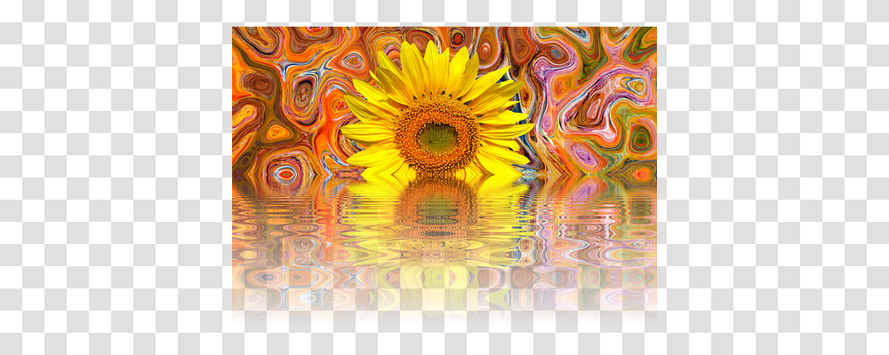 Sun Flower Nature, Modern Art, Pattern Transparent Png