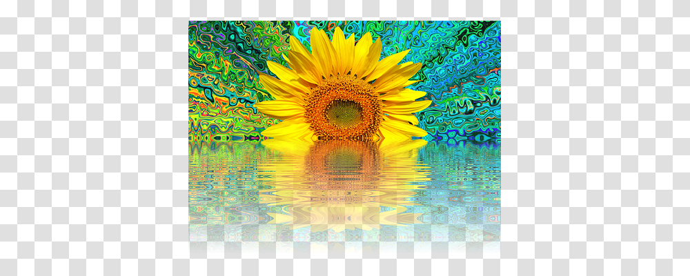 Sun Flower Nature, Plant, Ornament, Blossom Transparent Png