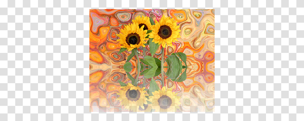 Sun Flower Nature, Plant, Painting Transparent Png