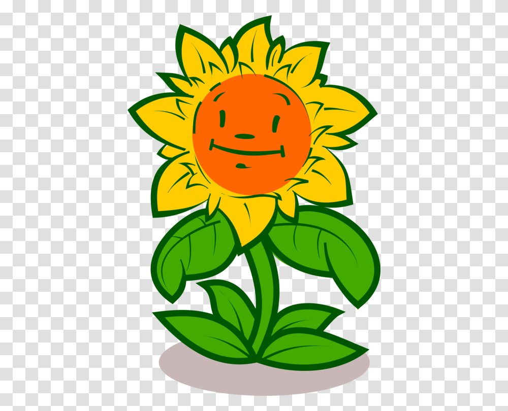 Sun Flower Cartoon Drawing, Plant, Blossom, Sunflower, Rose Transparent Png