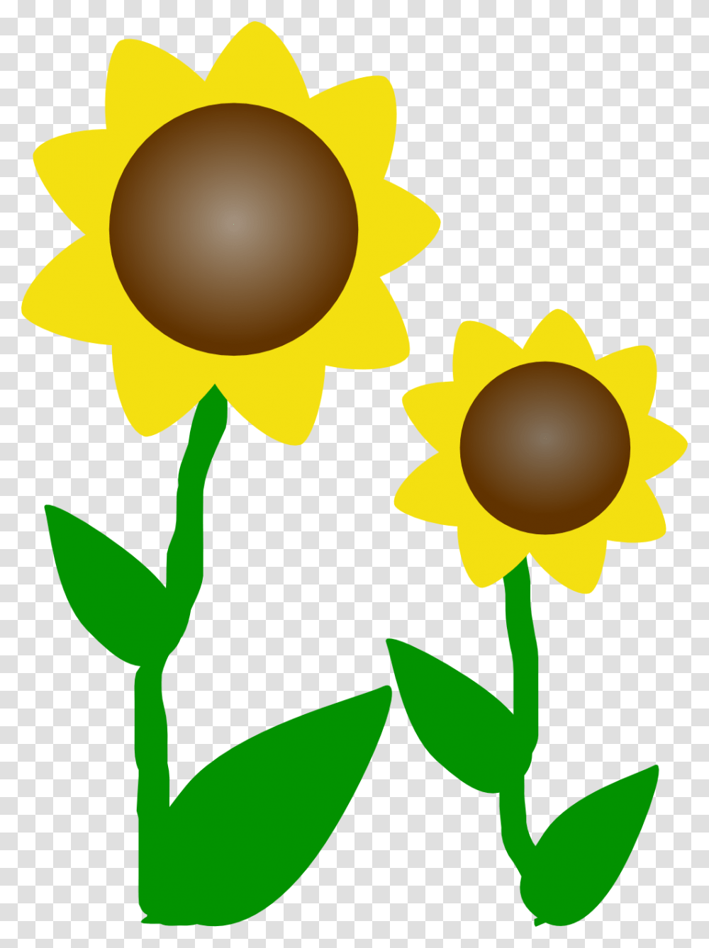 Sun Flower Clipart, Plant, Blossom, Daffodil, Sunflower Transparent Png