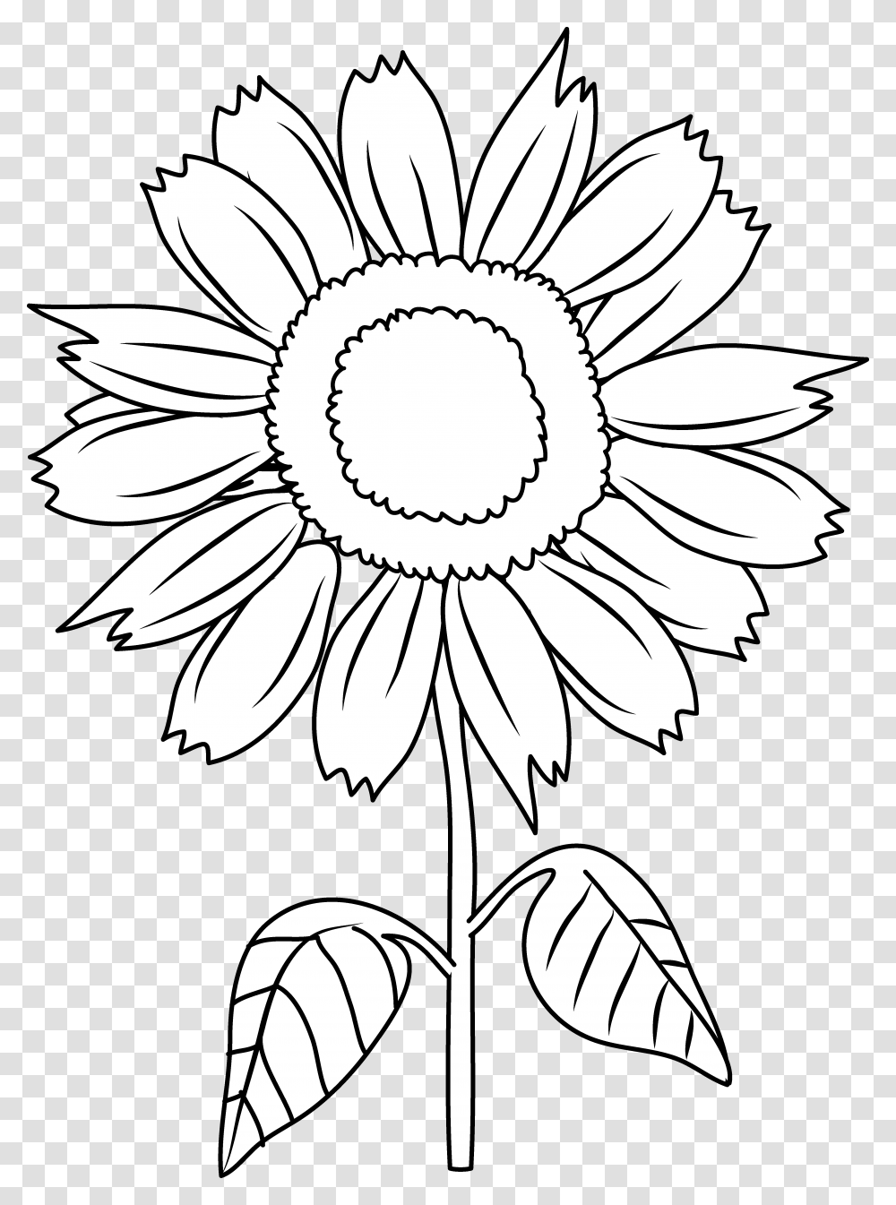 Sun Flowers Clipart Black And White Black And White Sunflower Clip Art Black And White Free, Plant, Blossom, Daisy, Daisies Transparent Png