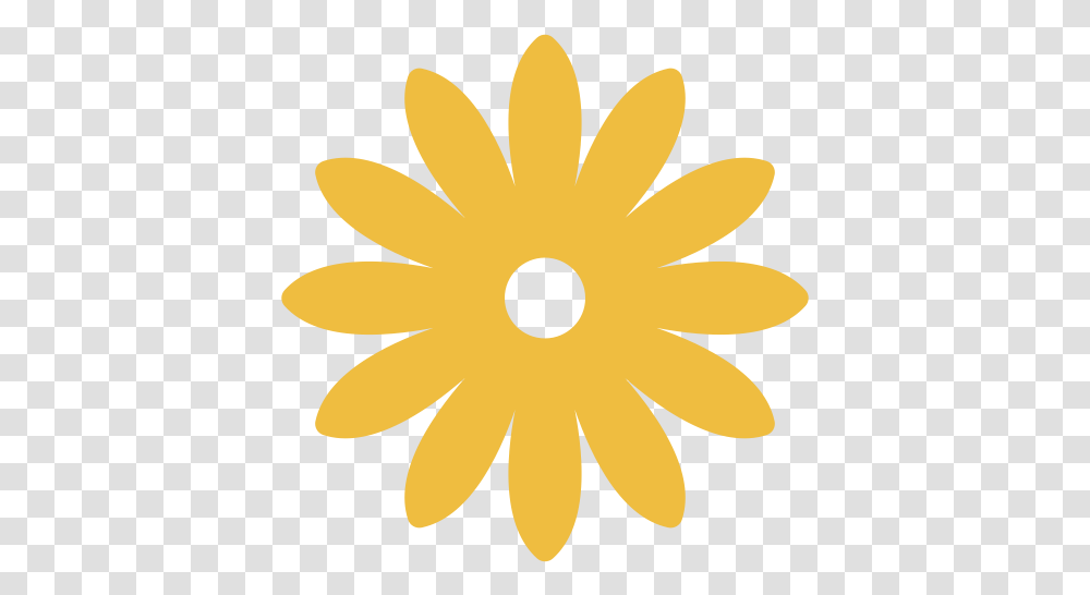 Sun Icon Animated Gif Image With No Flower Sjabloon, Plant, Blossom, Daisy, Daisies Transparent Png