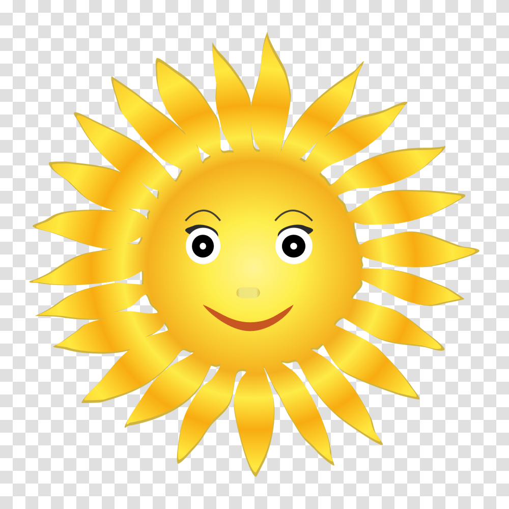 Sun Images, Nature, Outdoors, Sky, Animal Transparent Png