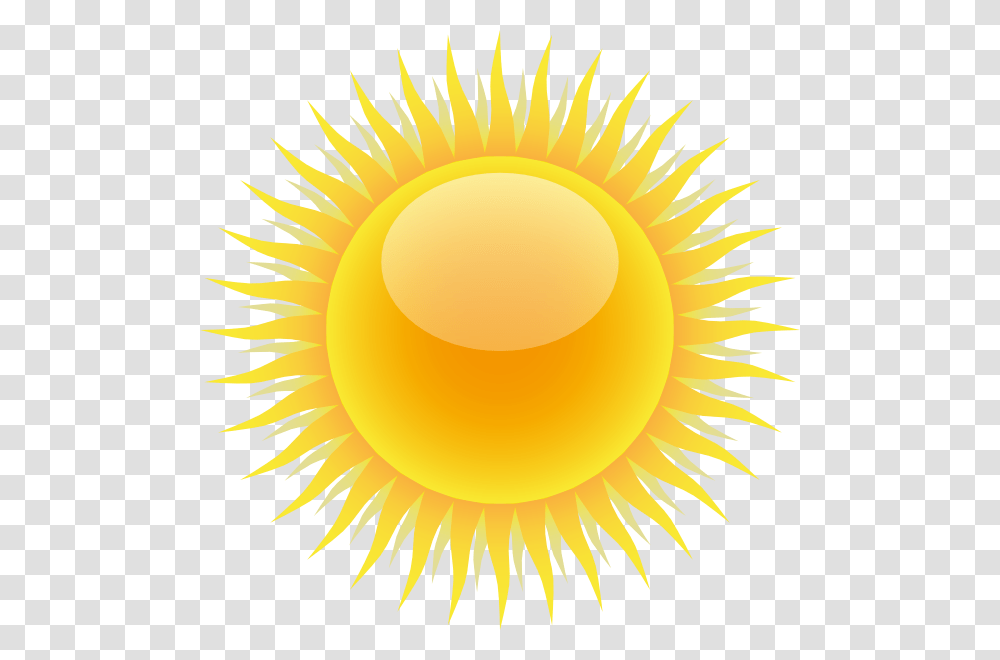 Sun Images Real Sun Free Images Download, Lamp, Plant, Flower, Blossom Transparent Png