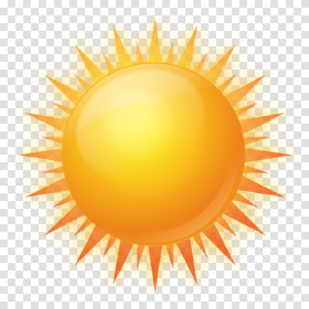 Sun Images Real Sun Free Images Download, Plant, Flower, Blossom, Sunlight Transparent Png