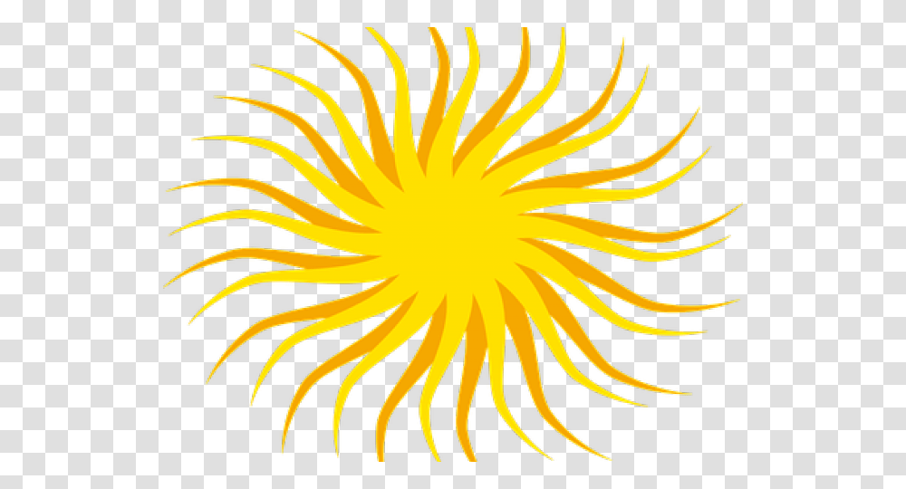 Sun Ray Clipart Soare, Flare, Light, Petal, Flower Transparent Png