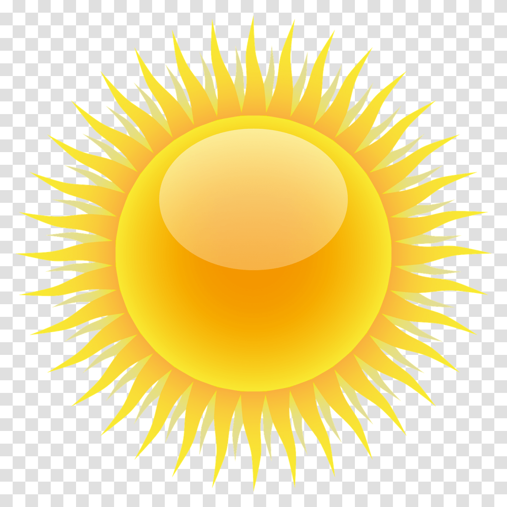 Sun Rays Light Summer Sunlight Sunny Ray Bright Portable Network Graphics, Plant, Outdoors, Flower, Blossom Transparent Png