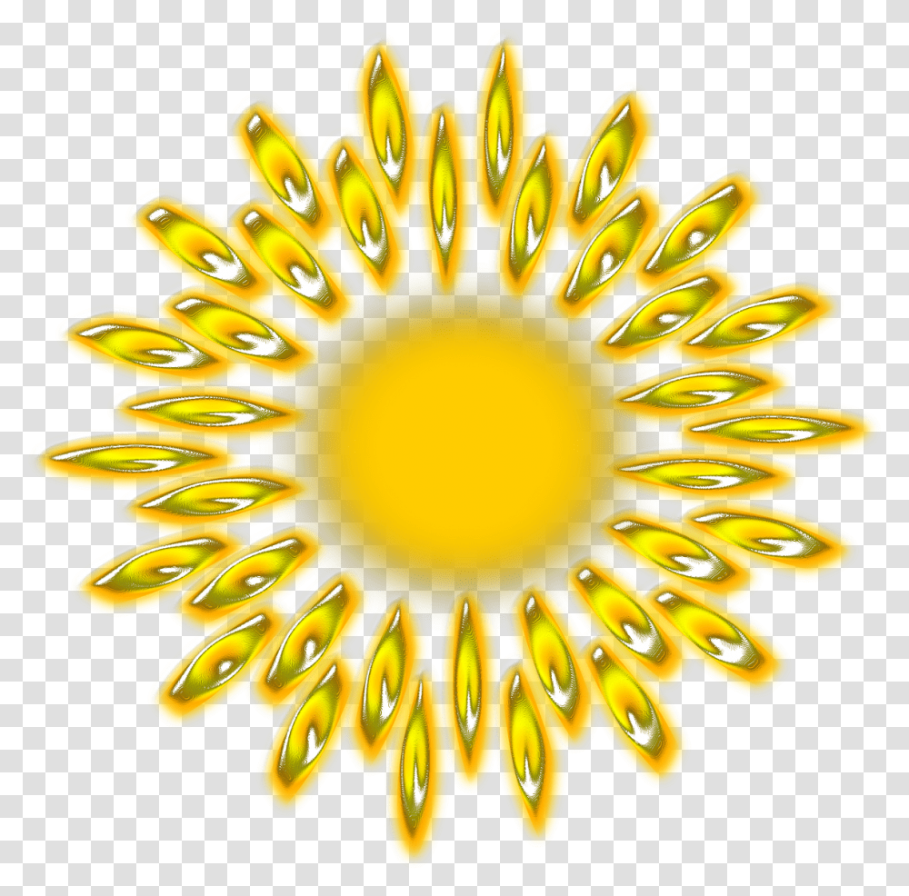 Sun Solar Sky Light System Planet Space Sunny Wbscvet, Pattern, Gold, Plant, Pollen Transparent Png