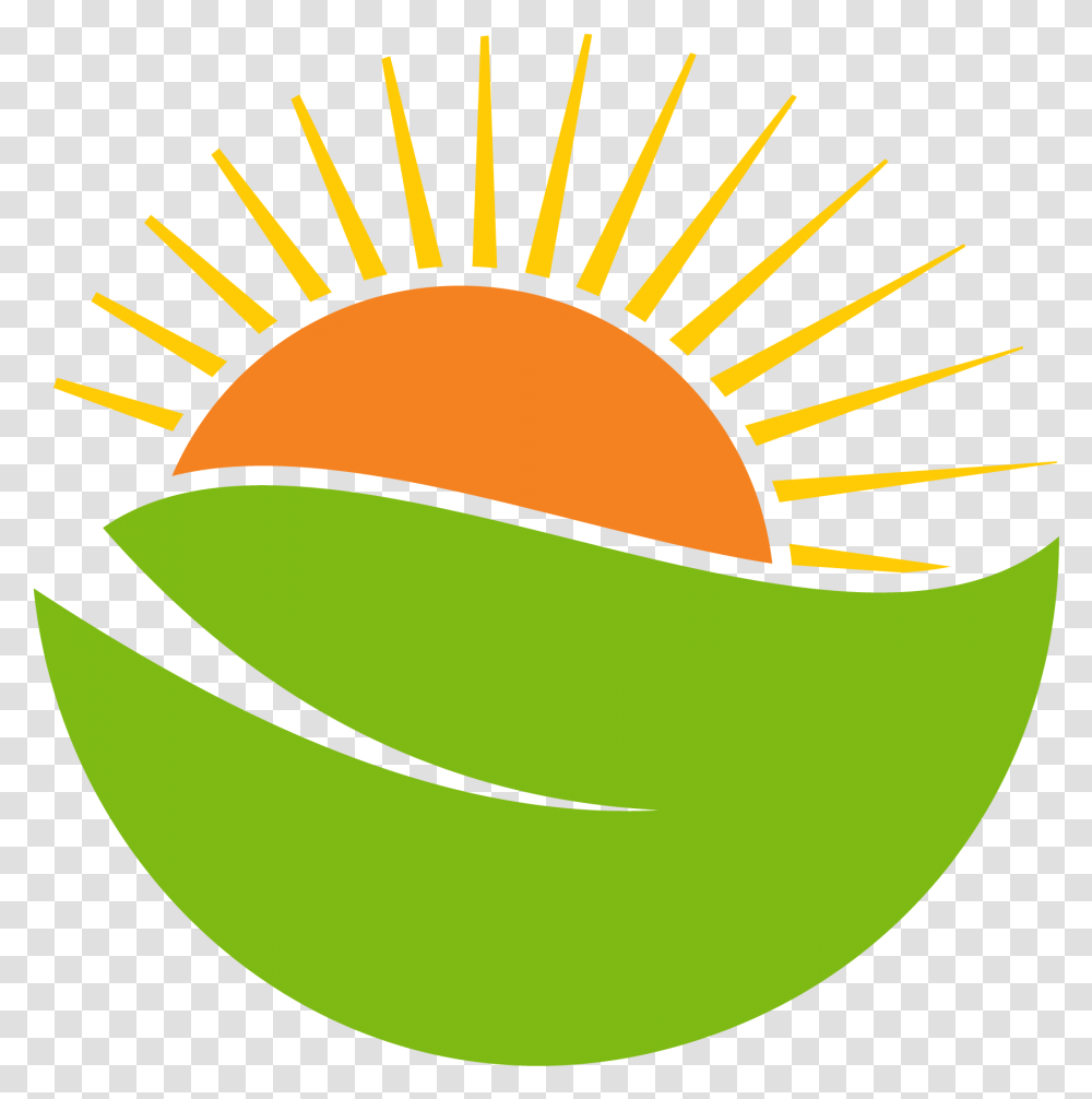 Sun Vector Grass And Sun Logo, Plant, Food, Vegetable, Fruit Transparent Png