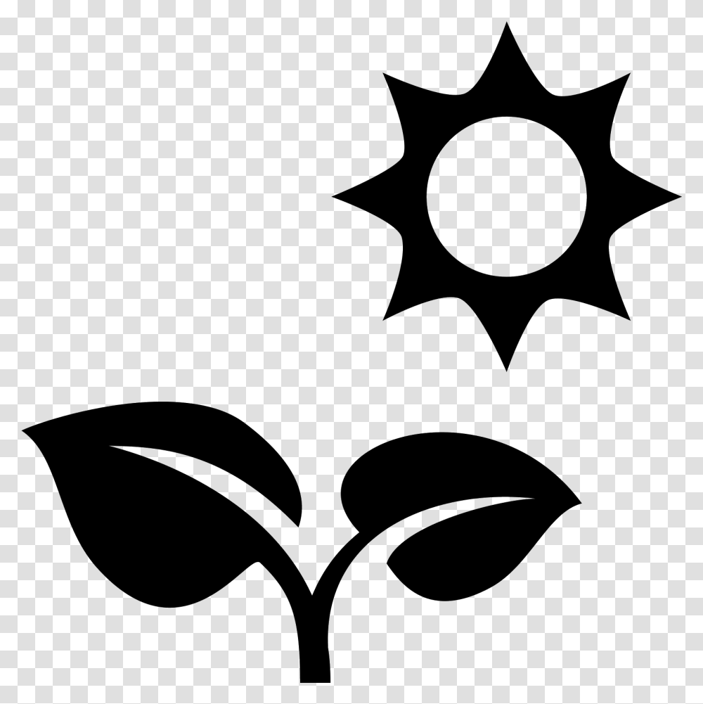 Sun Vector Sun Plant Icon, Gray, World Of Warcraft Transparent Png