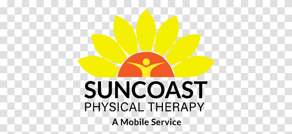 Suncoast Physical Therapy Language, Plant, Fruit, Food, Citrus Fruit Transparent Png