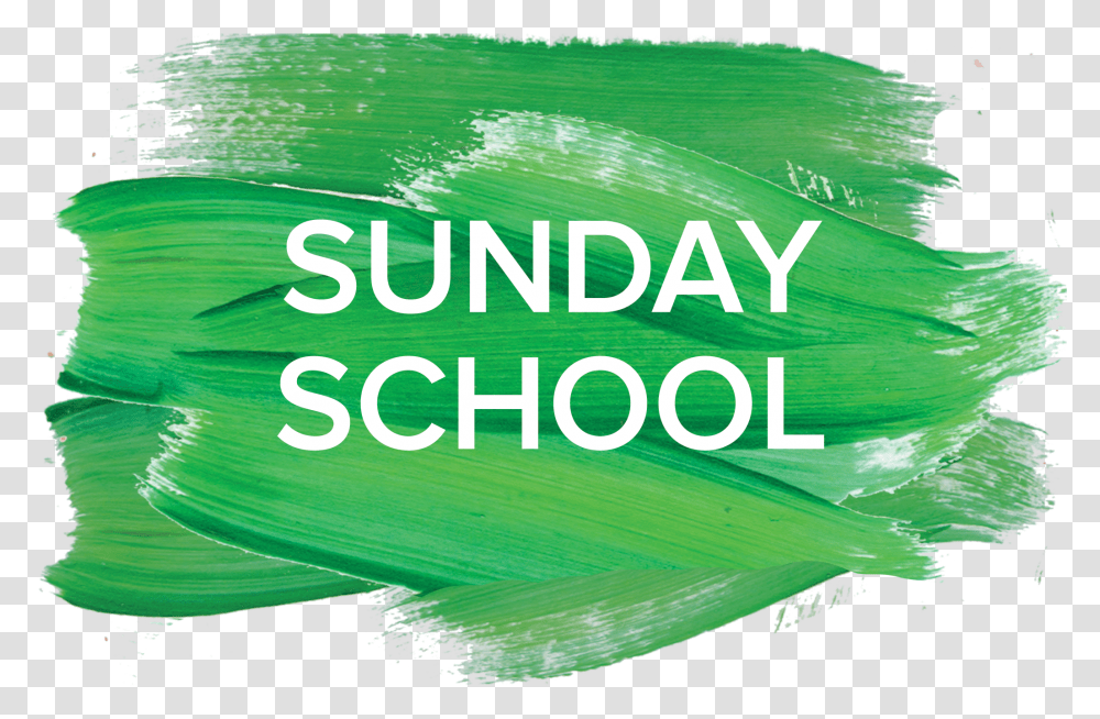 Sunday School, Plant, Nature, Outdoors, Vegetation Transparent Png