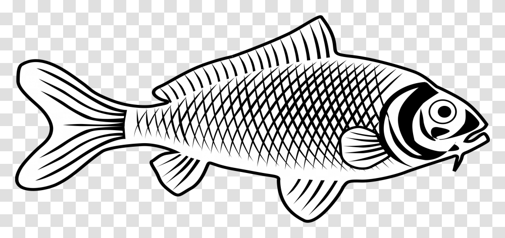 Sunfish Drawing Fishline Fish Images Line Art, Axe, Tool, Animal, Carp Transparent Png
