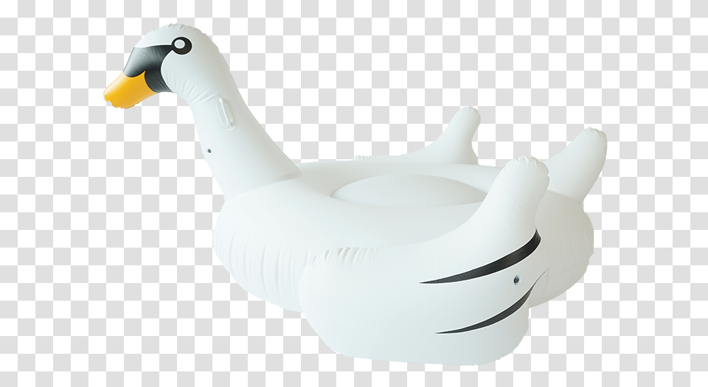 Sunfloats Inflatable White Swan Pool Floats, Goose, Bird, Animal, Anseriformes Transparent Png