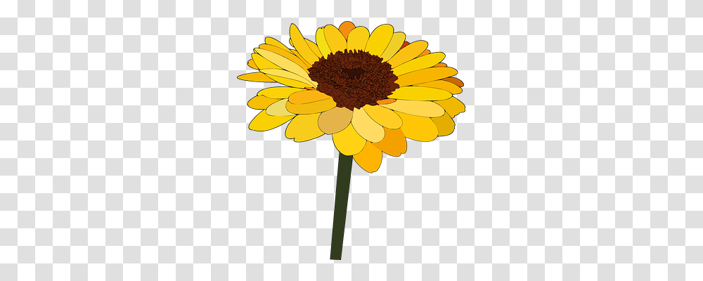 Sunflower Nature, Plant, Blossom, Daisy Transparent Png