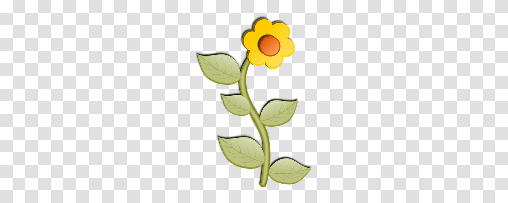 Sunflower Nature, Plant, Leaf, Petal Transparent Png