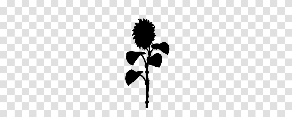 Sunflower Gray, World Of Warcraft Transparent Png