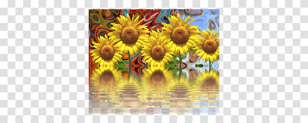 Sunflower Nature, Modern Art, Plant, Blossom Transparent Png