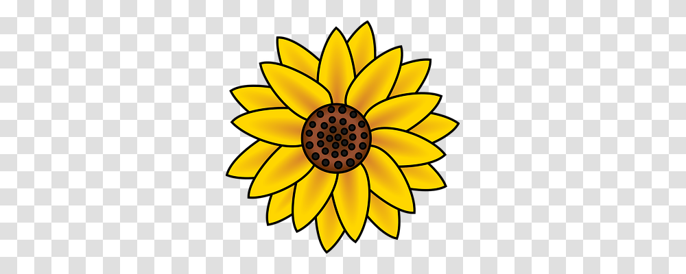 Sunflower Nature, Plant, Blossom, Lamp Transparent Png
