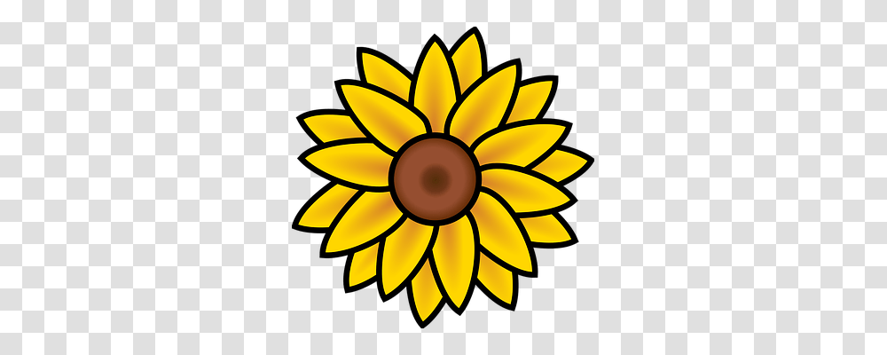 Sunflower Nature, Plant, Lamp, Blossom Transparent Png