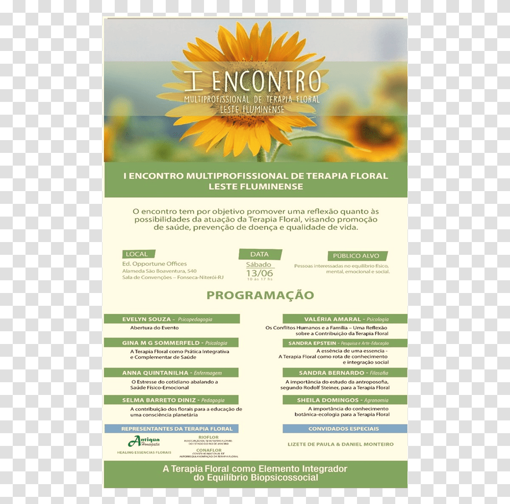 Sunflower, Advertisement, Poster, Flyer, Paper Transparent Png