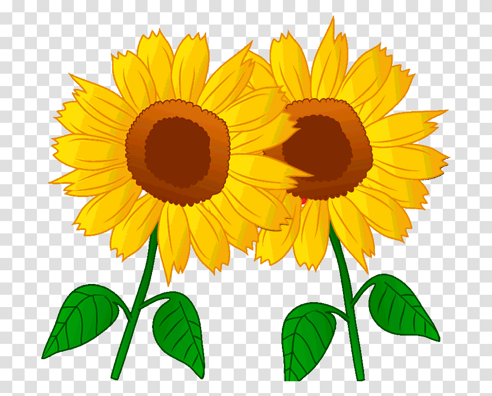 Sunflower Animated Sunflower, Plant, Blossom Transparent Png