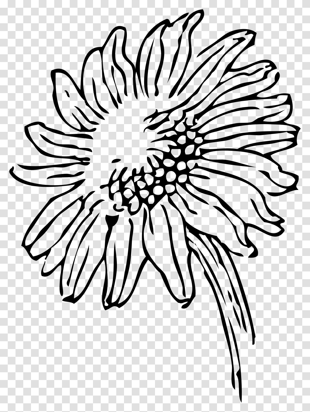 Sunflower Black And White Black And White Flower Border Free, Plant, Blossom, Texture Transparent Png