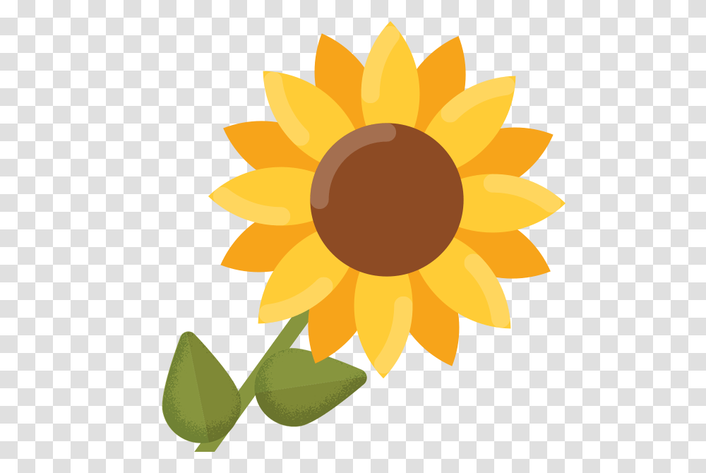 Sunflower Black And White Clip Art Simple Flower Drawings Clip, Plant, Blossom, Rug, Pollen Transparent Png