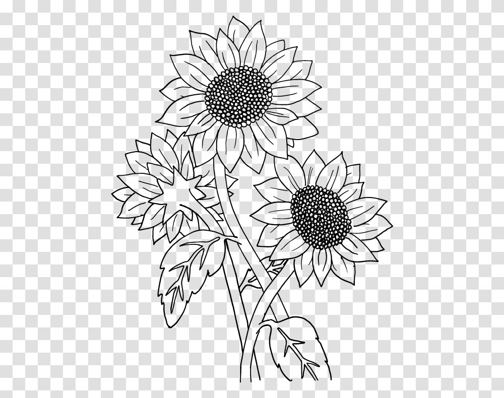 Sunflower Black And White, Gray, World Of Warcraft Transparent Png